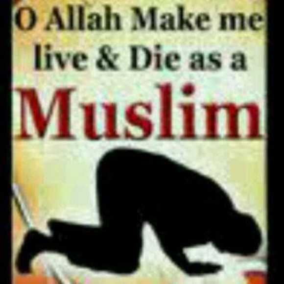 Meet your Posher, Shefiu - Picture 1 of 1